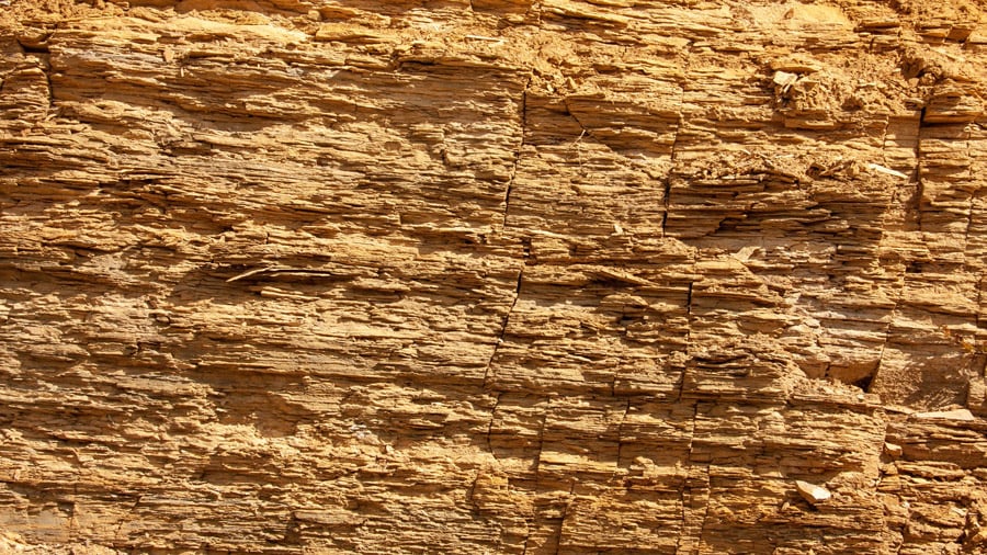 Exkursion Ölschiefer Foto 2