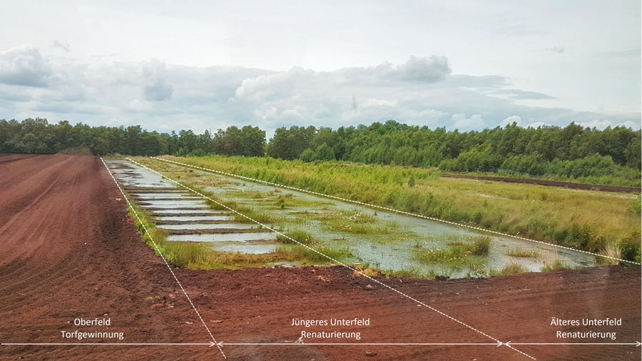 Das Oberfeld-Unterfeld-Verfahren der Firma Gramoflor im Vechtaer Moor. Foto: J. Marsky.